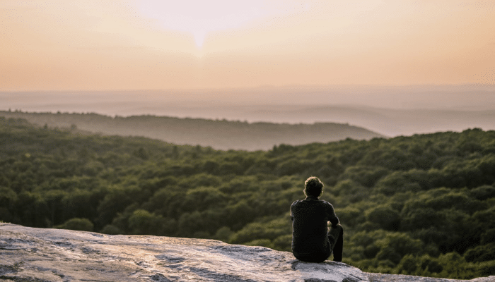 Direction et signification - Carrière